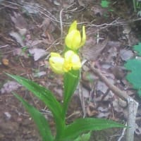 貸切・野呂山　