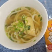 淡路島みやげの玉ねぎスープでうどんを作ってみた・・！！甘くておいしい～～