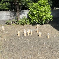 ３日からのウォーキングとバーベキュー