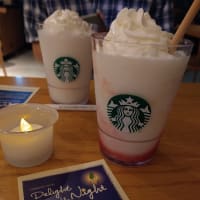 Delight in the Night