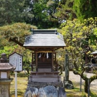 愛媛県西条市、中野甲「伊曽乃神社」です！！