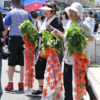 浅草寺ほうずき市