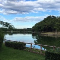 門池 ３