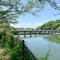 5月11日　足助八幡宮〜越戸ダム　そして食べ過ぎた〜