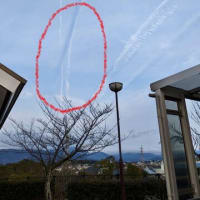 飛行機雲にも影がある！