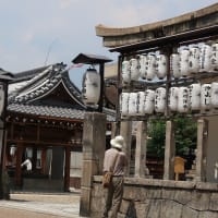 【京都幕間旅情】瀧尾神社,麒麟が来る龍は待つ百貨店大丸創業者下村彦右衛門正啓と久遠の縁