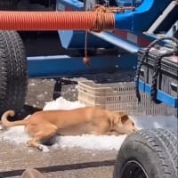 プロバイダ変更