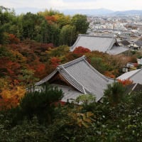京都　洛北　圓光寺　池と裏山