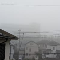 朝霧