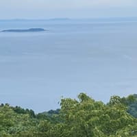 竹林庵 みずの（網代温泉）2024年7月　初訪その②