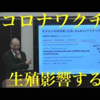 「Covid-19とmRNAワクチンの歪んだ現実を探る」〜ワクチン接種後症候群の実態と⽣殖影響のエビデンス〜　本橋 秀之 東京医科⼤学病院 疾患モデル研究センター