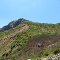 サンカヨウを見ながら磐梯山登山 2024.5.22