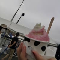 たきさい