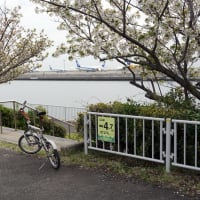 京浜島ふ頭公園