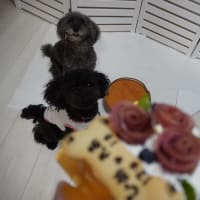 少しお休みします