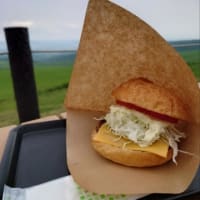 北の大地でよっつめハンバーガーどうでしょう