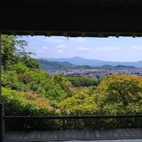 新緑の京都をことことと歩いて！！！（２日目、小倉山エリア）