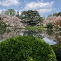 日本の美