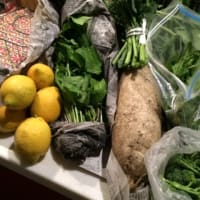 新鮮野菜