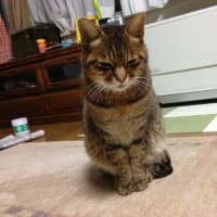ぶるぶる、冬将軍だ！