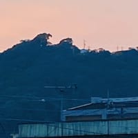 GODZILLA☆