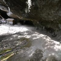 耶馬渓_ネモフィラと競秀峰の絶景😲