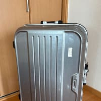 そこまで大きくなかった