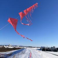 近くの堤防で連凧
