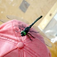 おにやんまくん　もどき