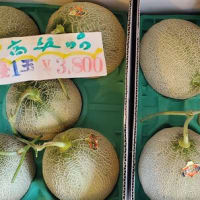 本日の夕張メロン価格