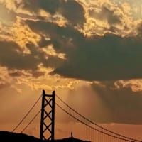 携帯電話は何を使ってますか