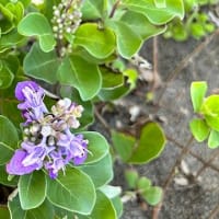 はてなブログに引越ししなおそうかなと思ってる