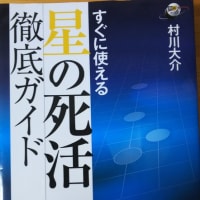 書評・第18回 囲碁手筋大事典 - 白石勇一の囲碁日記