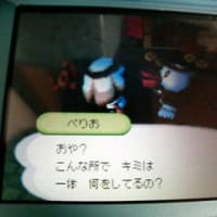 どうぶつの森[ぺりお来た～!!]