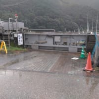 意気消沈・・・