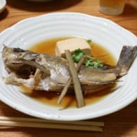  2024年10月5日～　墓終いの旅で愛媛へ　その13 ホテルに戻り晩御飯