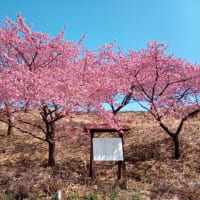グループわらじ　第613回徒歩定例会「みちのく潮風トレイルⅡ　新地駅～鹿狼山～新地駅」