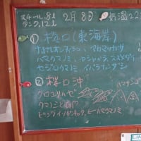20250208ダイビングログ