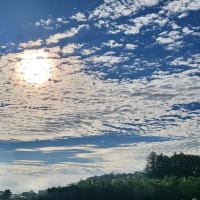 朝空