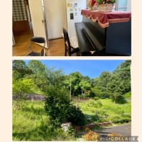 アンクルンとコーラスと、ちょっと副作用