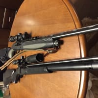 ドナドナド～ナ！( ；∀；)　銃との縁！その2