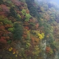 紅葉🍁真っ盛りの 日光東照宮、鬼怒川温泉の旅