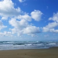 爽やか海さんぽ