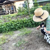 6月21日（土）③