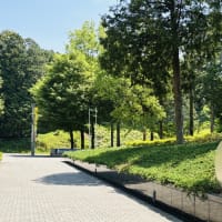 山笑う