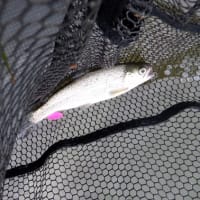 アクアヘブンで貸し切り釣行