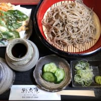 知らないと損する【おすすめ栃木グルメ＆観光詰め合わせ】これが栃木県だ／This is TOCHIGI