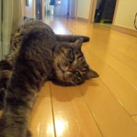 良いことを教えてあげよう