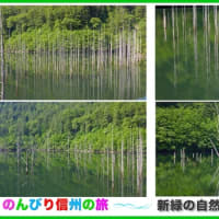 【EOS R5 8K RAW】 新緑の自然湖　長野県木曽郡王滝村