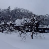 ただいま、お風呂当番、鶏の餌当番なり。